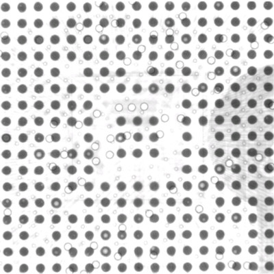 BGA空洞圖 BGA空洞圖